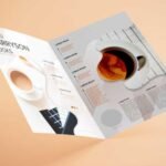 Bifold Brochure - DL Size